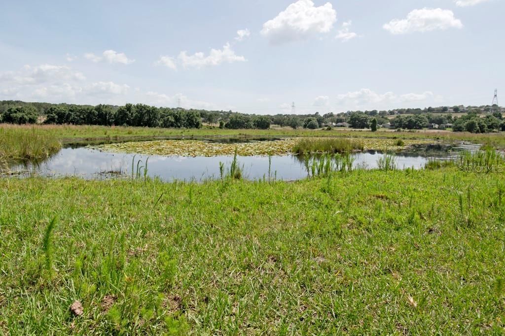 14704 Old Highway 50, Clermont, FL 34711 Photo