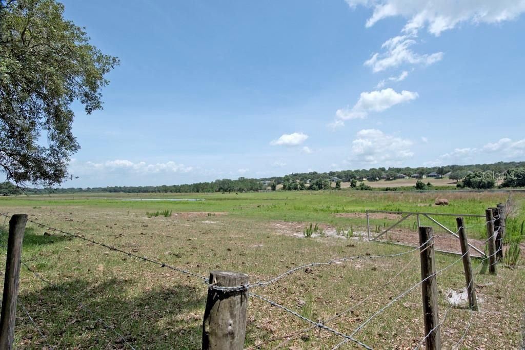 14704 Old Highway 50, Clermont, FL 34711 Photo