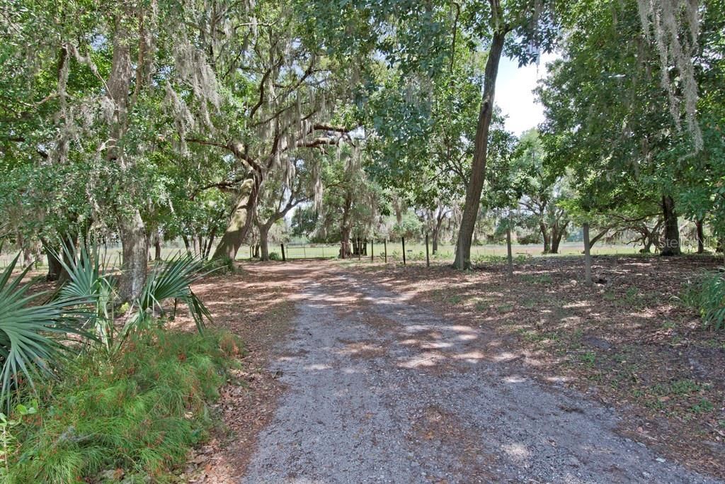 14704 Old Highway 50, Clermont, FL 34711 Photo