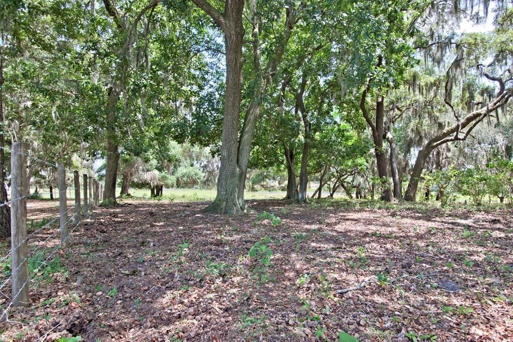 14704 Old Highway 50, Clermont, FL 34711 Photo