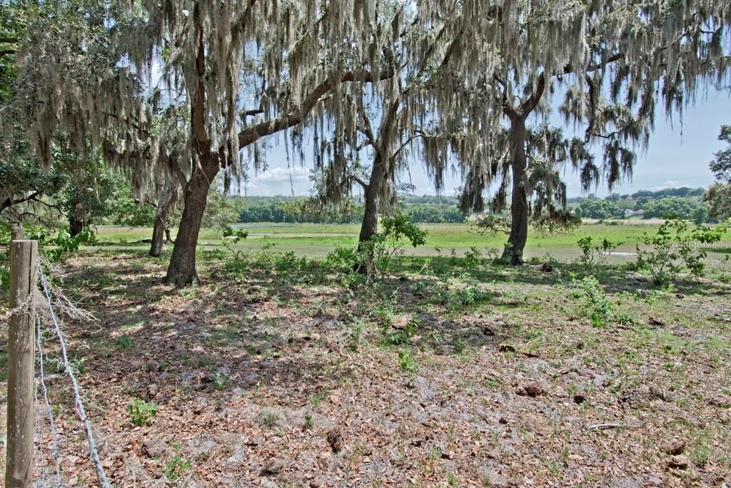 14704 Old Highway 50, Clermont, FL 34711 Photo
