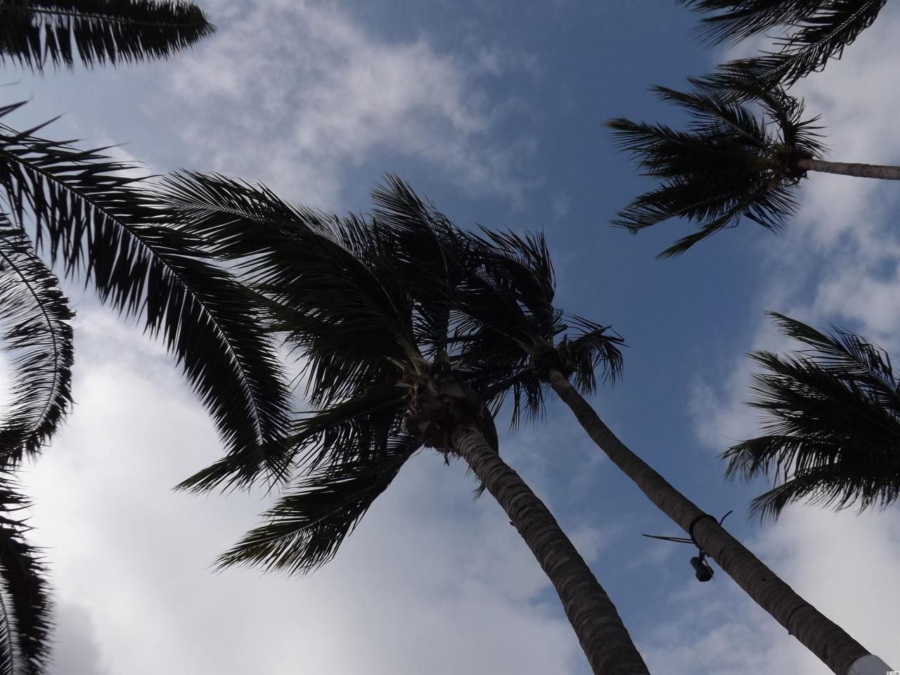 1909 Hwy 17 S Photo 20