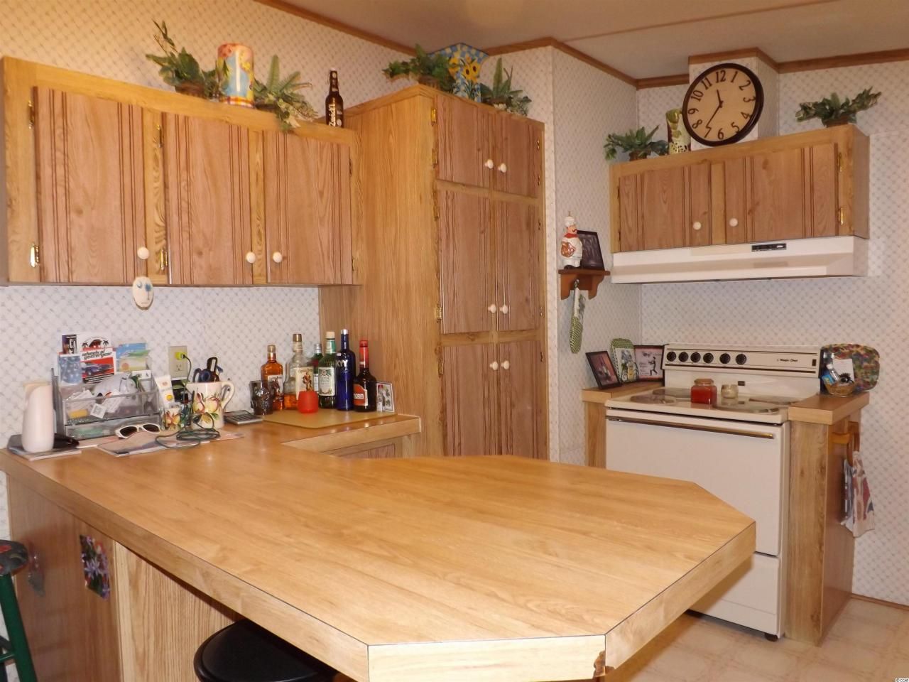 1909 Hwy 17 S Photo 8