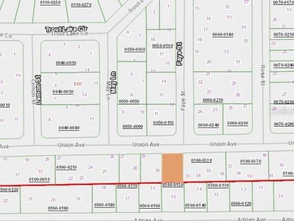 405 UNION AVENUE, INTERLACHEN, FL 32148