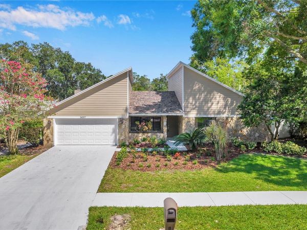 14207 ASHBURN PLACE, TAMPA, FL 33624