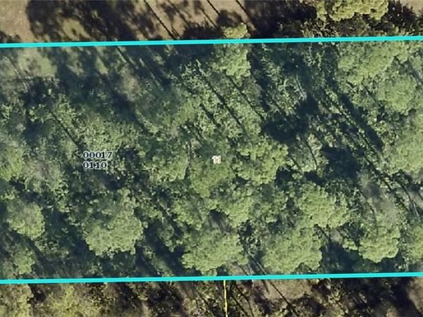 2102 Hamilton AVE, ALVA, FL 33920