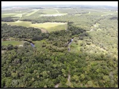 7019 Crooked Creek Lane, Zolfo Springs, FL 33890 Photo