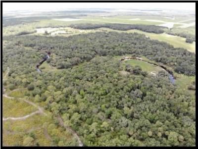 7019 Crooked Creek Lane, Zolfo Springs, FL 33890 Photo