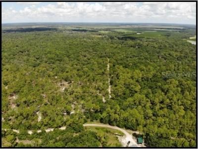 7019 Crooked Creek Lane, Zolfo Springs, FL 33890 Photo