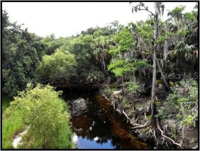 7019 Crooked Creek Lane, Zolfo Springs, FL 33890 Photo