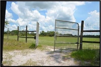 7019 Crooked Creek Lane, Zolfo Springs, FL 33890 Photo