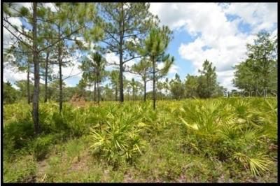 7019 Crooked Creek Lane, Zolfo Springs, FL 33890 Photo