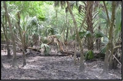 7019 Crooked Creek Lane, Zolfo Springs, FL 33890 Photo