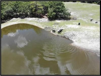 7019 Crooked Creek Lane, Zolfo Springs, FL 33890 Photo