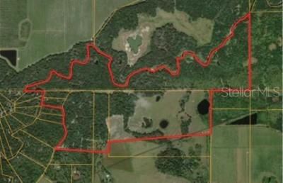 7019 Crooked Creek Lane, Zolfo Springs, FL 33890 Photo