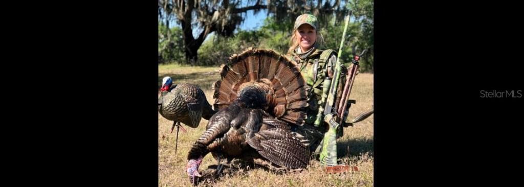 7019 Crooked Creek Lane, Zolfo Springs, FL 33890 Photo