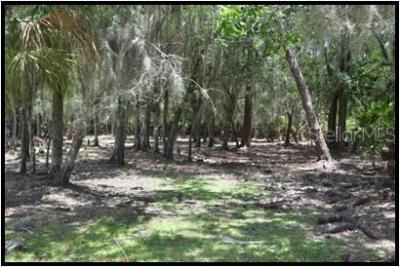 7019 Crooked Creek Lane, Zolfo Springs, FL 33890 Photo