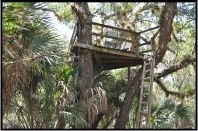 7019 Crooked Creek Lane, Zolfo Springs, FL 33890 Photo