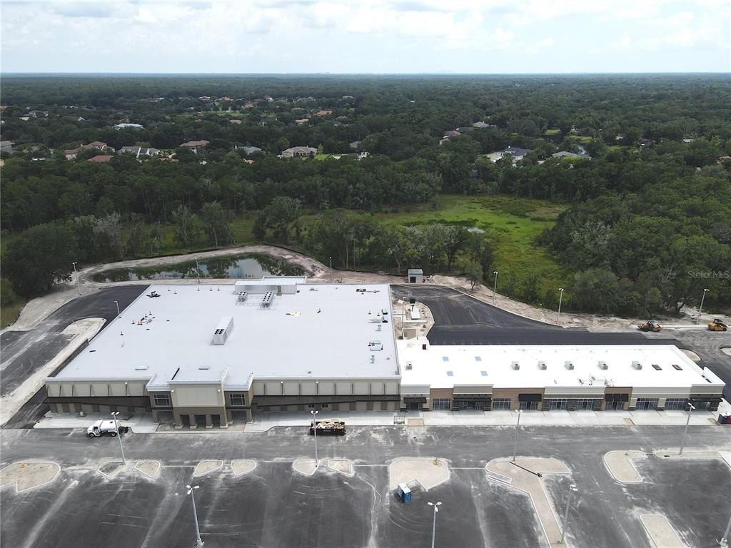 1035 Nashville Drive, Wesley Chapel, FL 33544 Photo