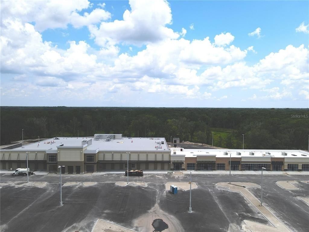 1035 Nashville Drive, Wesley Chapel, FL 33544 Photo