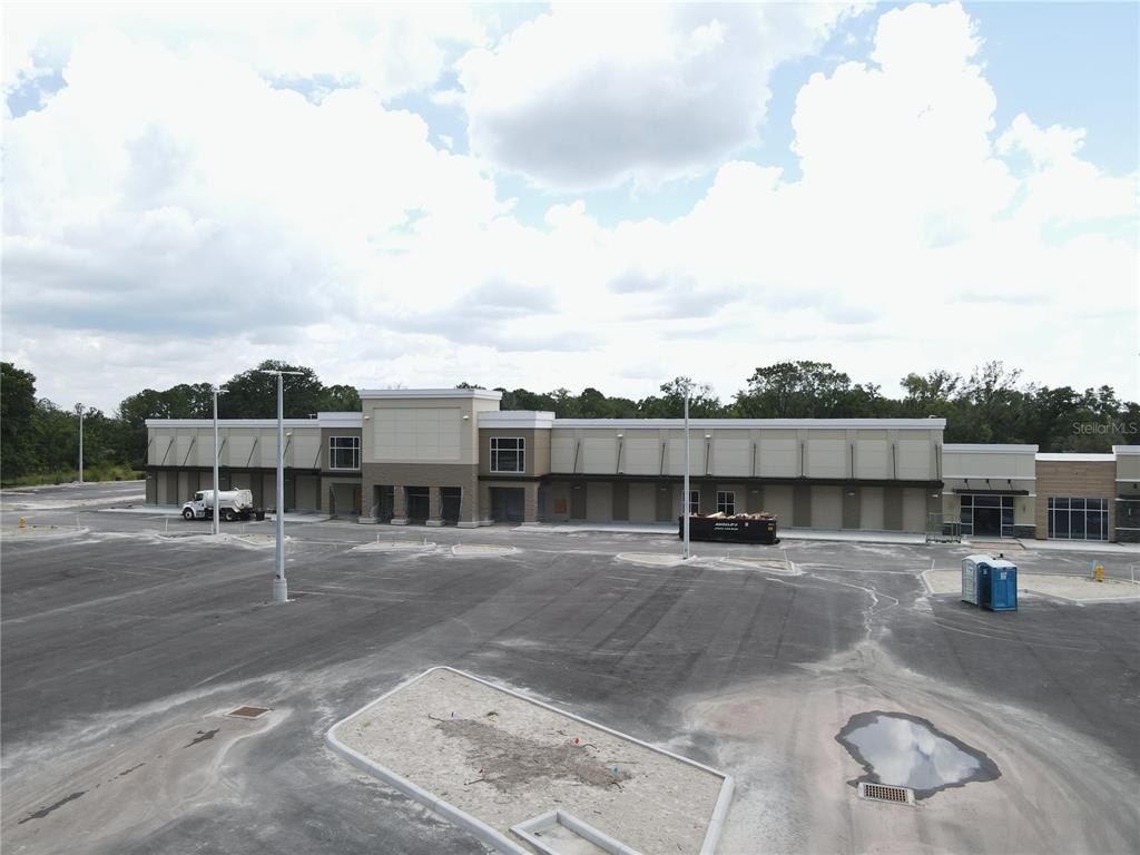 1035 Nashville Drive, Wesley Chapel, FL 33544 Photo