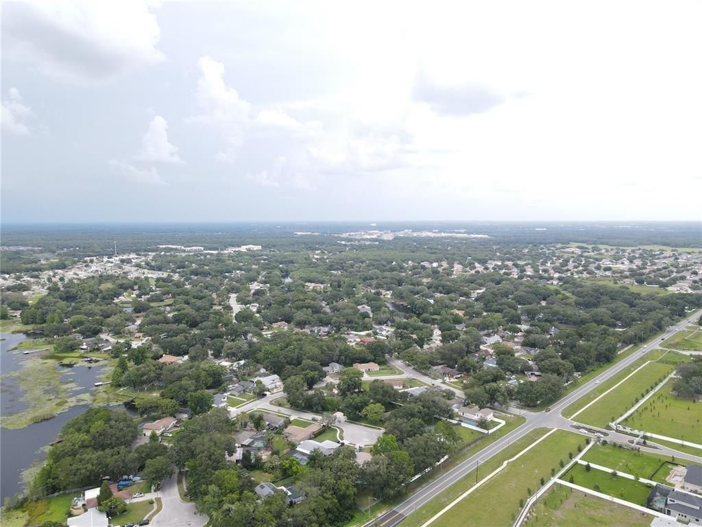 1035 Nashville Drive, Wesley Chapel, FL 33544 Photo