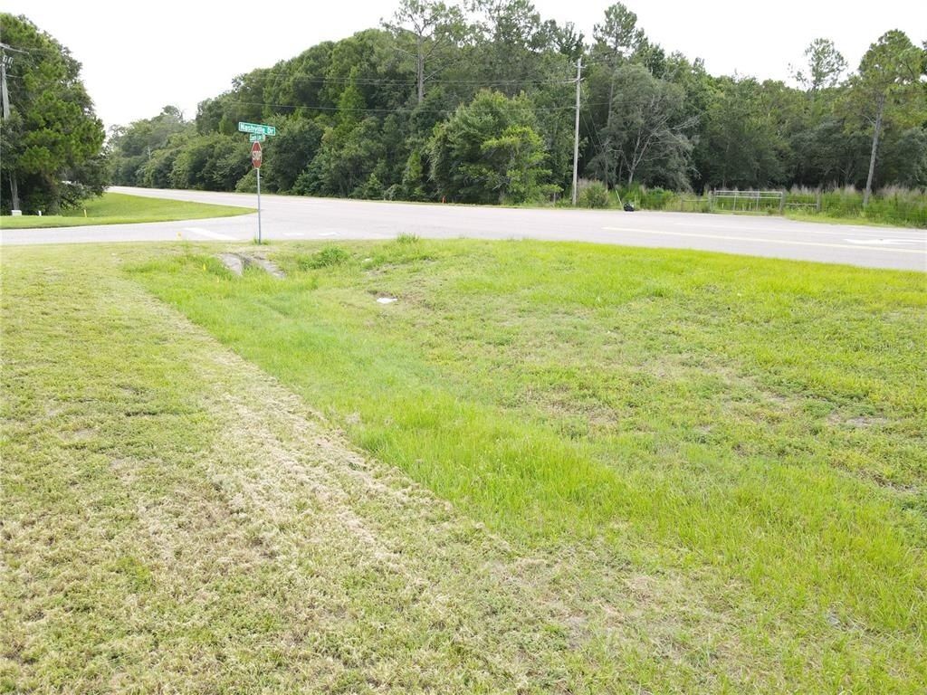 1035 Nashville Drive, Wesley Chapel, FL 33544 Photo