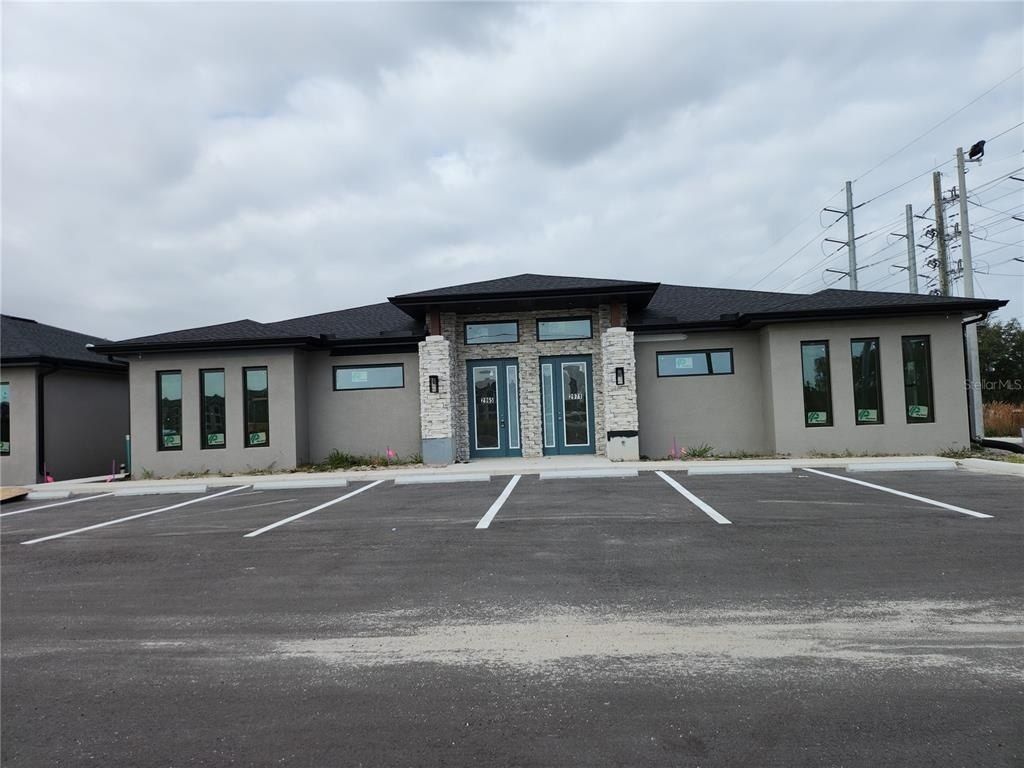 1035 Nashville Drive, Wesley Chapel, FL 33544 Photo