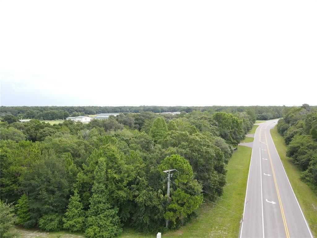 1035 Nashville Drive, Wesley Chapel, FL 33544 Photo