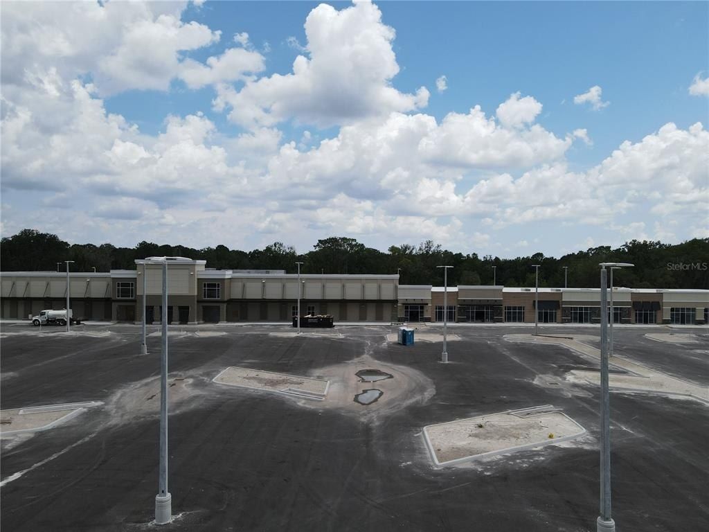 1035 Nashville Drive, Wesley Chapel, FL 33544 Photo