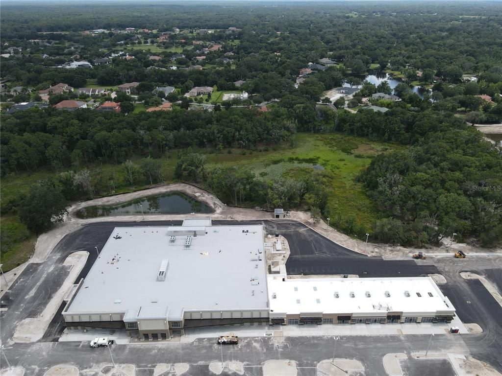 1035 Nashville Drive, Wesley Chapel, FL 33544 Photo