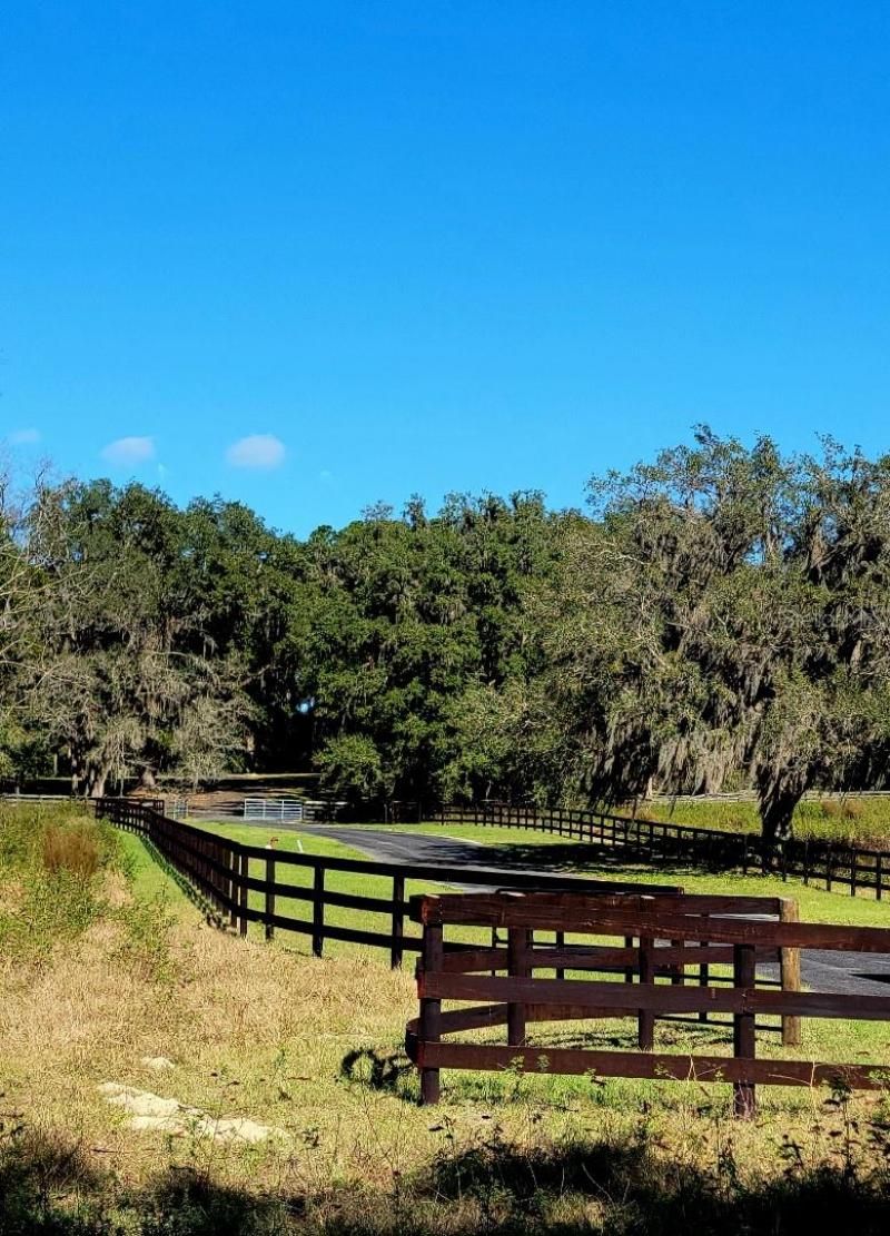 1077 SW 144th Court Road, Ocala, FL 34481 Photo