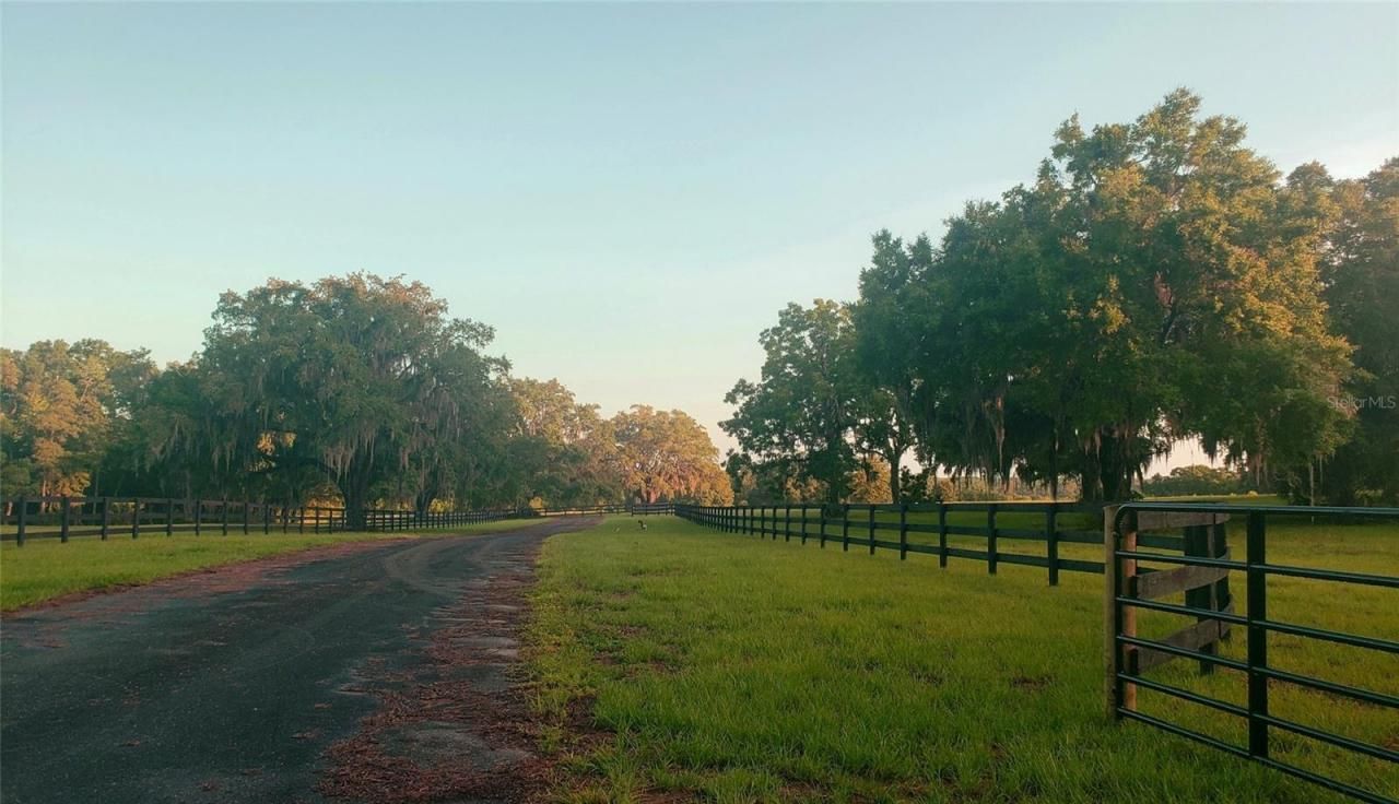 1077 SW 144th Court Road, Ocala, FL 34481 Photo