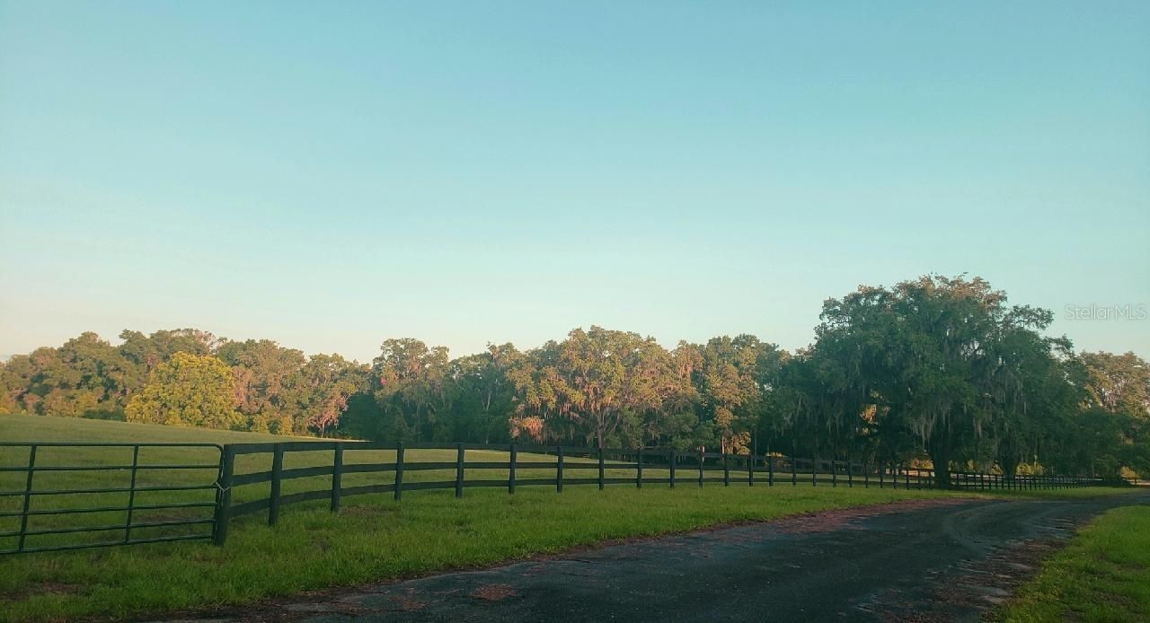 1077 SW 144th Court Road, Ocala, FL 34481 Photo