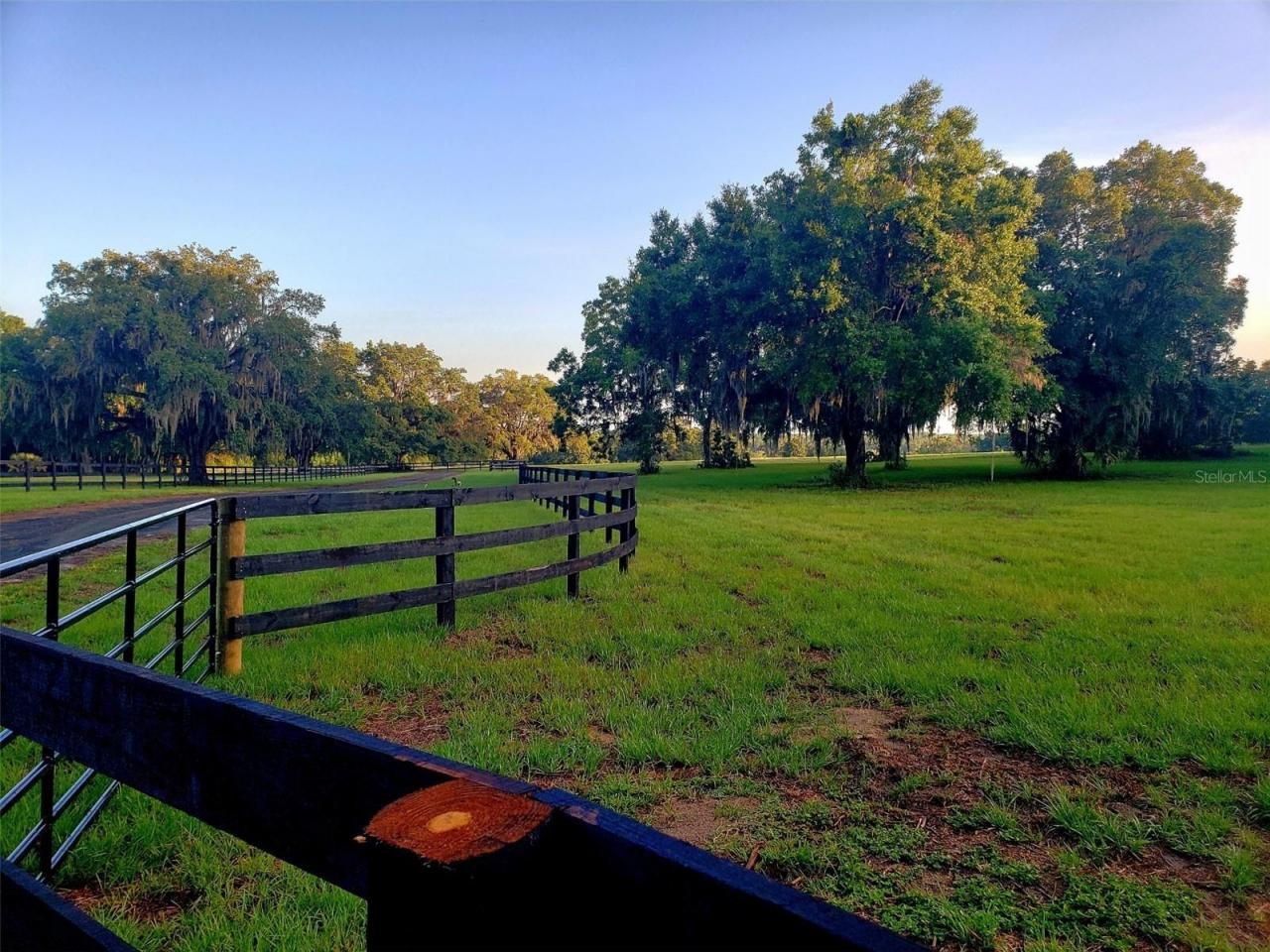 1077 SW 144th Court Road, Ocala, FL 34481 Photo