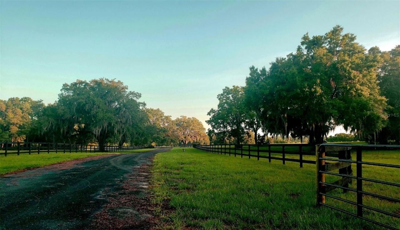 1077 SW 144th Court Road, Ocala, FL 34481 Photo