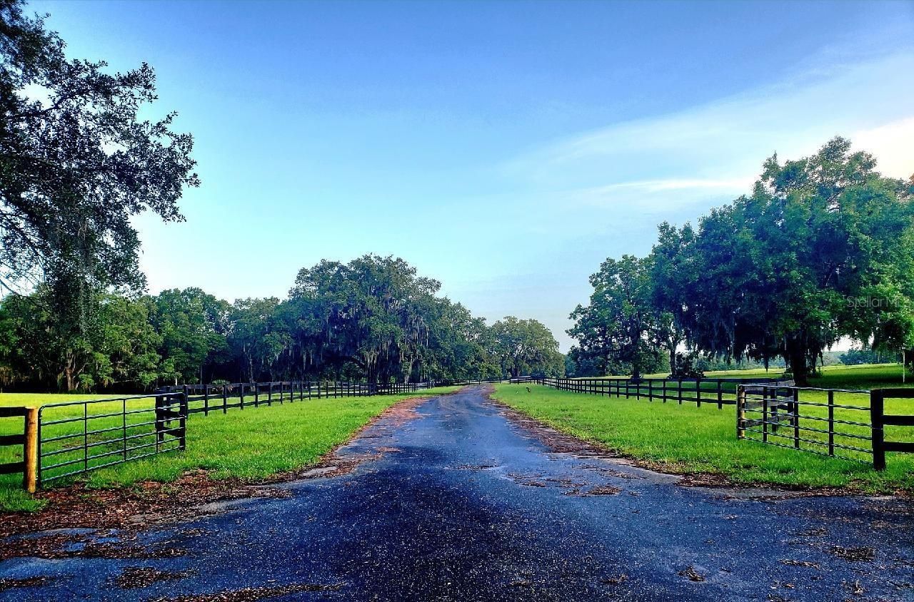 1077 SW 144th Court Road, Ocala, FL 34481 Photo