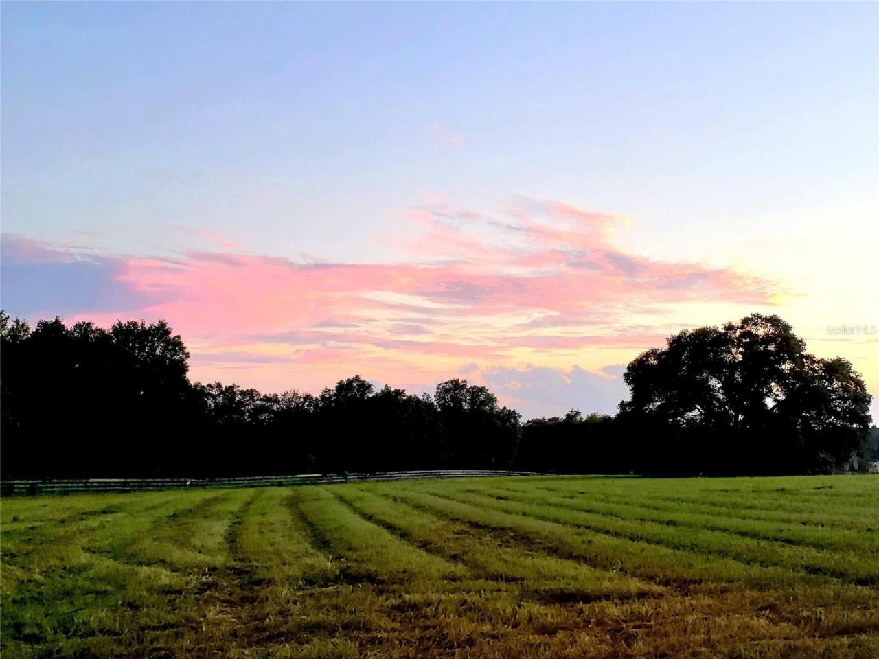 1077 SW 144th Court Road, Ocala, FL 34481 Photo