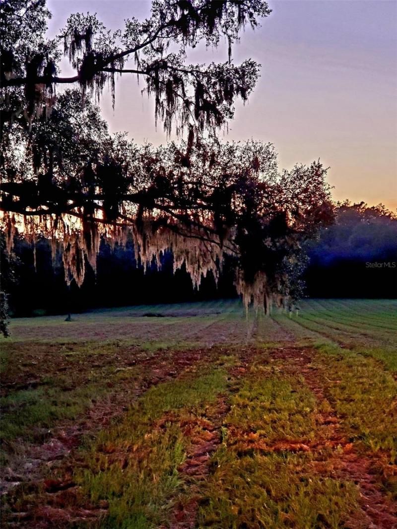 1077 SW 144th Court Road, Ocala, FL 34481 Photo