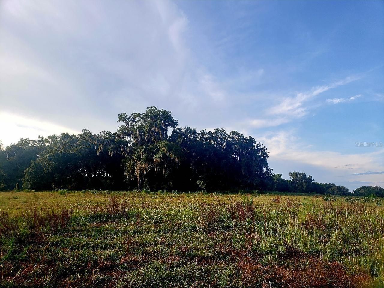 1077 SW 144th Court Road, Ocala, FL 34481 Photo