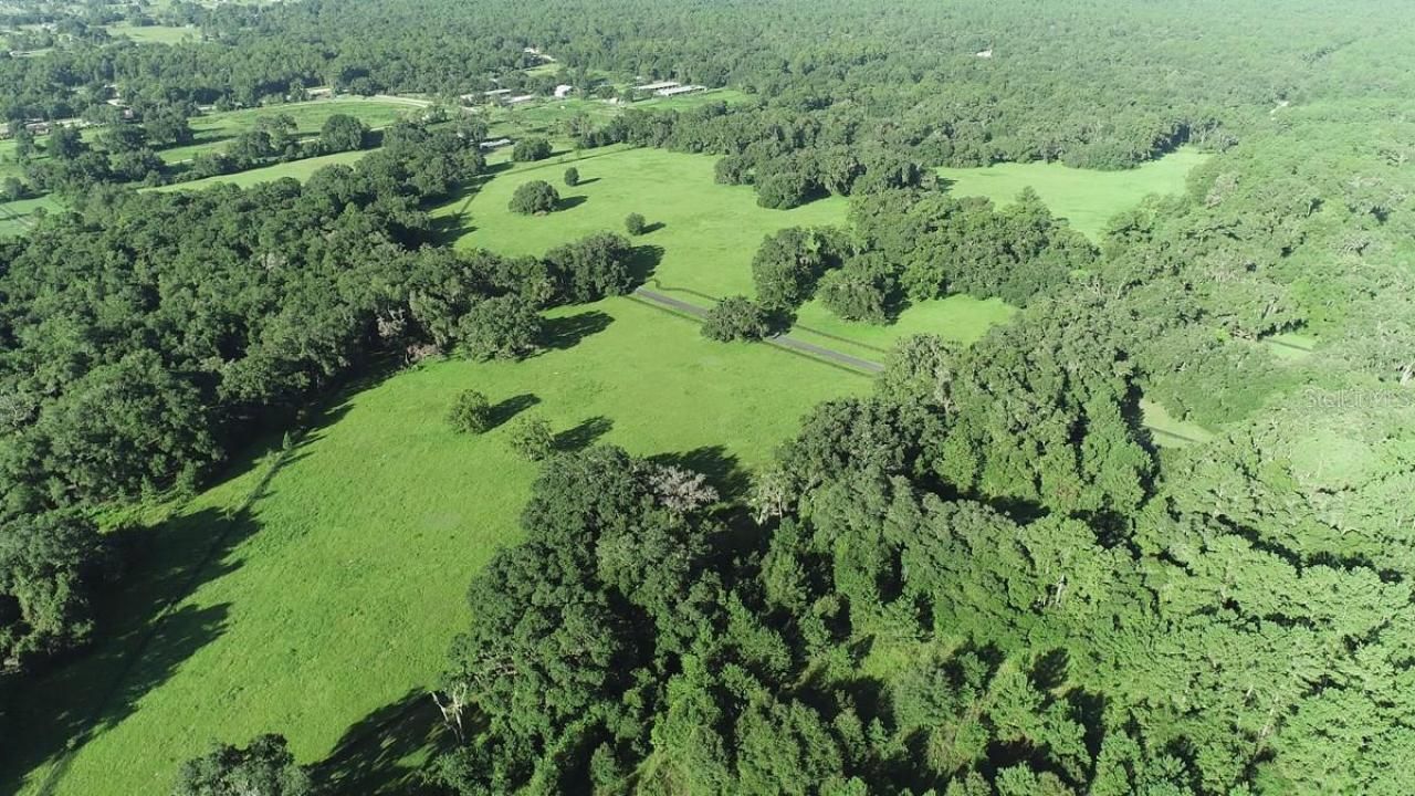 1077 SW 144th Court Road, Ocala, FL 34481 Photo