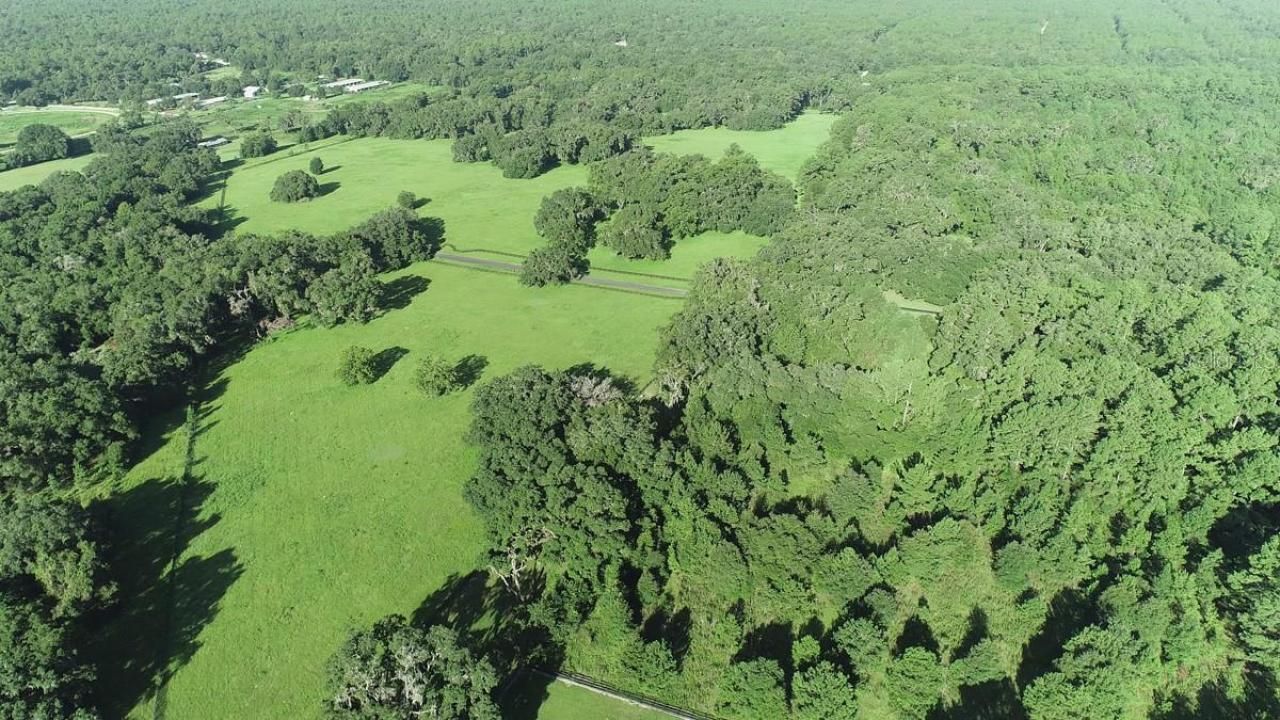 1077 SW 144th Court Road, Ocala, FL 34481 Photo