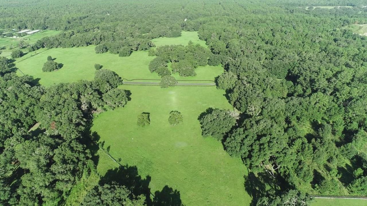 1077 SW 144th Court Road, Ocala, FL 34481 Photo