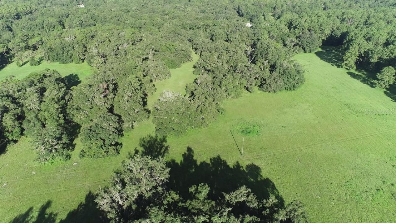 1077 SW 144th Court Road, Ocala, FL 34481 Photo