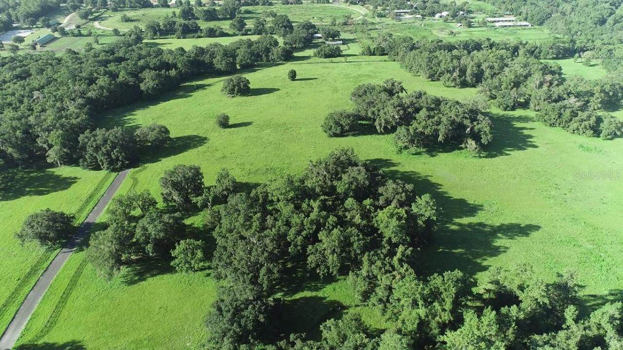 1077 SW 144th Court Road, Ocala, FL 34481 Photo