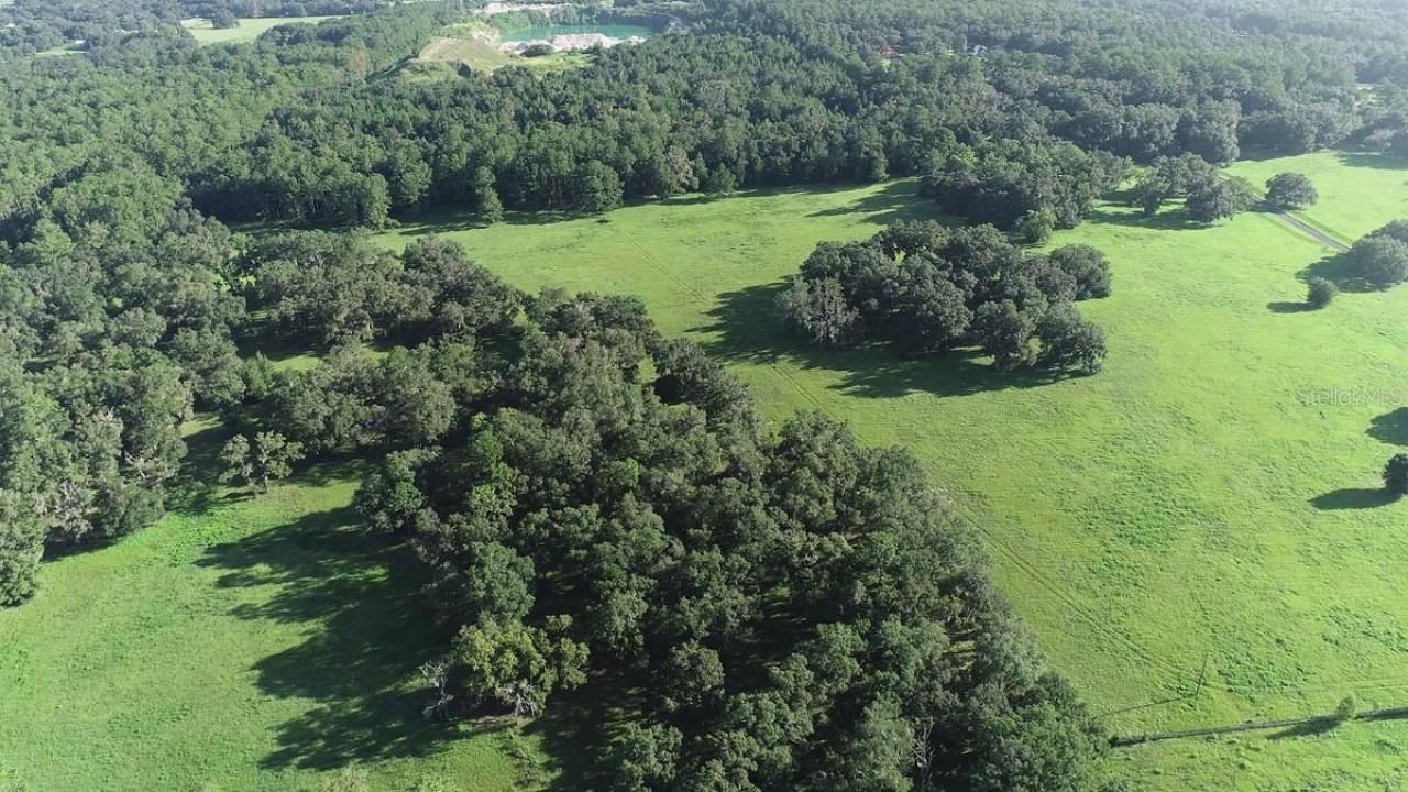 1077 SW 144th Court Road, Ocala, FL 34481 Photo