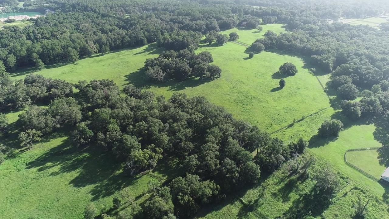 1077 SW 144th Court Road, Ocala, FL 34481 Photo