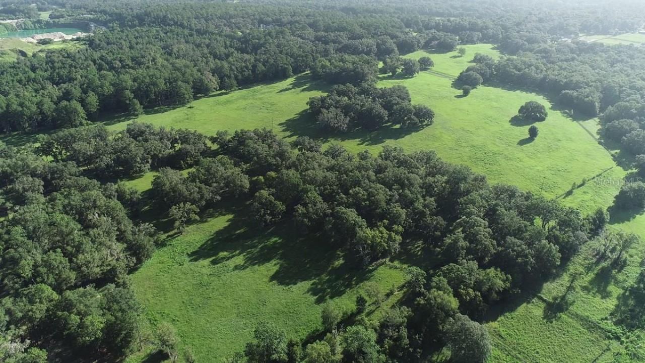 1077 SW 144th Court Road, Ocala, FL 34481 Photo