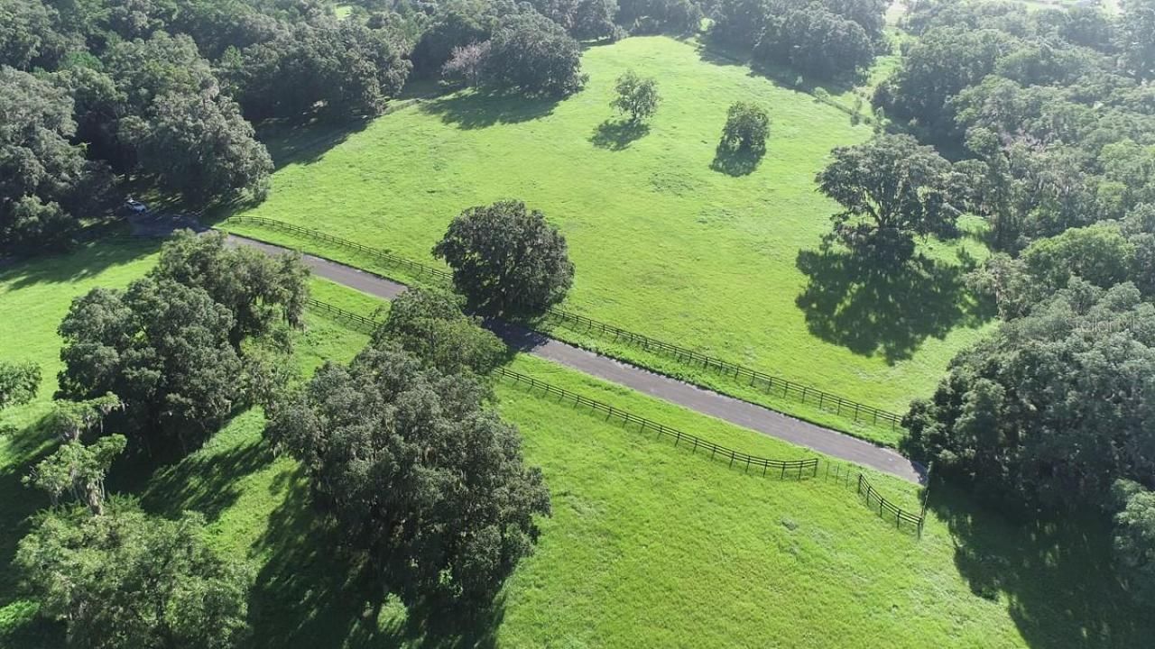 1077 SW 144th Court Road, Ocala, FL 34481 Photo