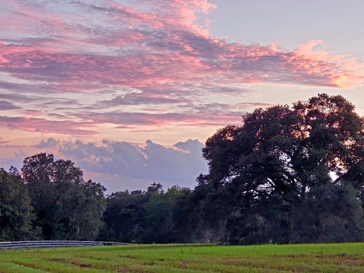 1077 SW 144th Court Road, Ocala, FL 34481 Photo